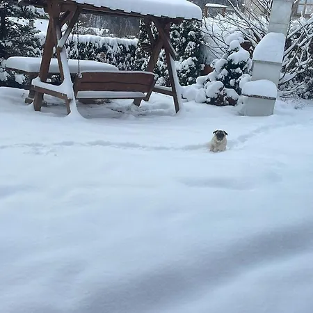 فيلة Swistakowka شتوروك