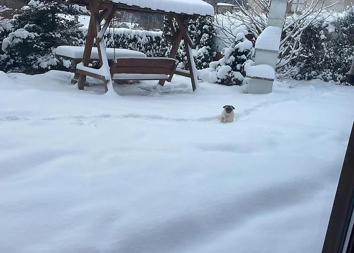 וילה Swistakowka שצ'צ'ירק