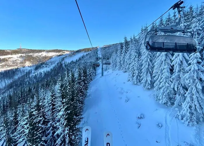 فيلة Swistakowka *